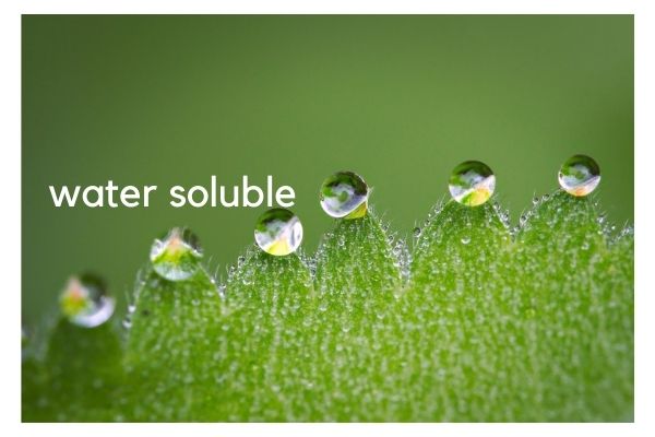 water-soluble-top