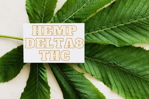 hemp-delta8-top