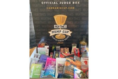 HC2022-judgebox