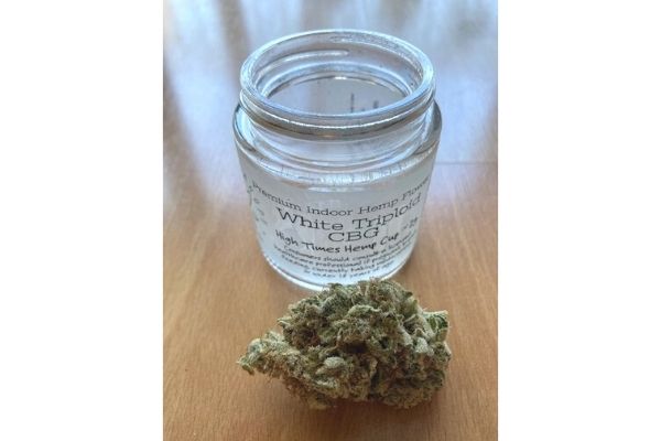 White Triploid CBD - Indoor Hemp