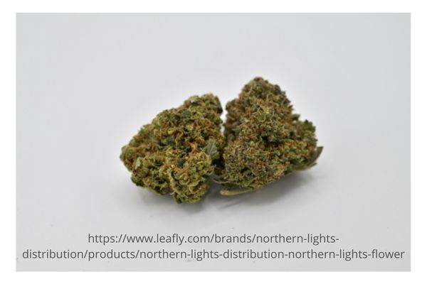 leafly-northern-lights